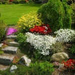 Нескучный сад – раскрасьте свой сад в цвета радуги!