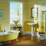 Цветовое оформление ванной комнаты: яркость и контрасты