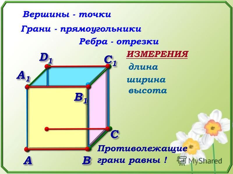 Длина ширина высота в физике. Грани и вершины прямоугольника. Длина ширина высота прямоугольника. Грани прямоугольника. Точка на грани.