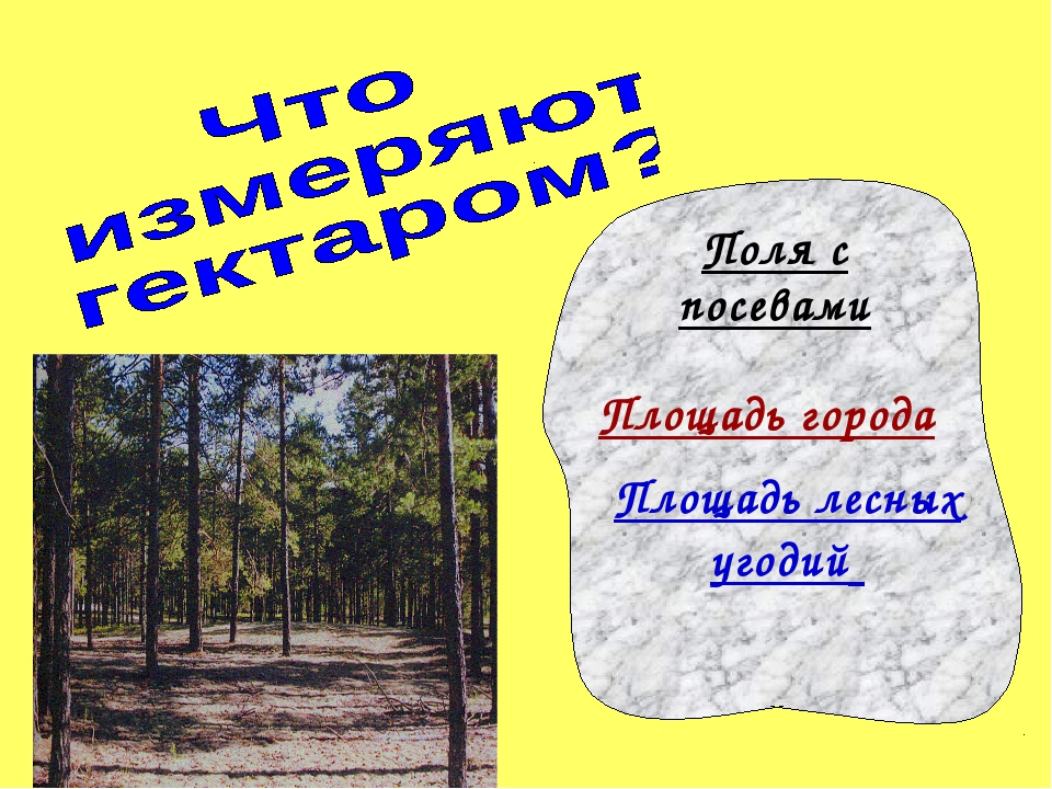 Гектар площади 4. Презентация про гектар. Гектар презентация 4 класс. Ар и гектар презентация. Ары и гектары 4 класс.