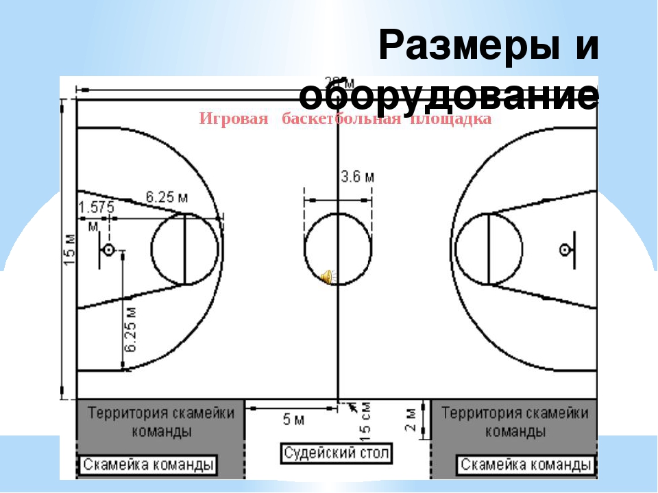 Назовите размеры баскетбольной площадки