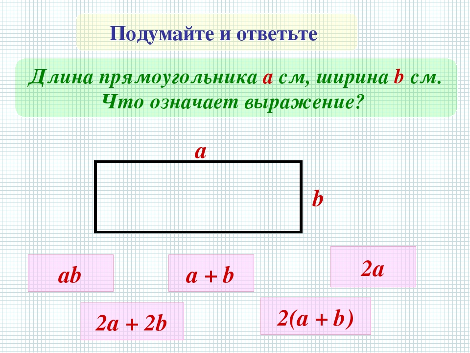 Длина и ширина прямоугольного