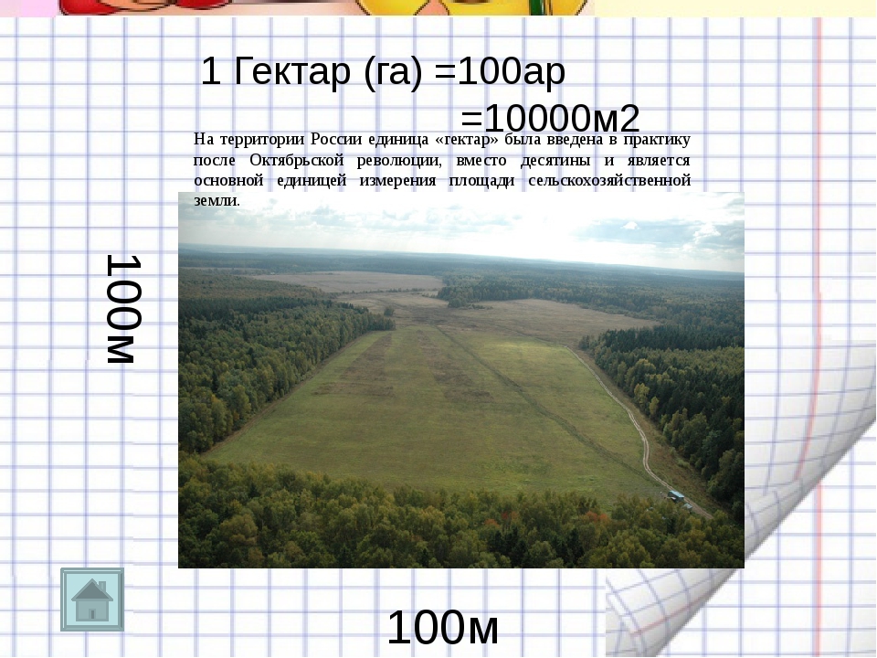 10 метров это какая длина. Площадь 1 гектара земли. Сколько в 1 га метров метров. Гектар земли в метрах. Размер участка 1 гектар в метрах.