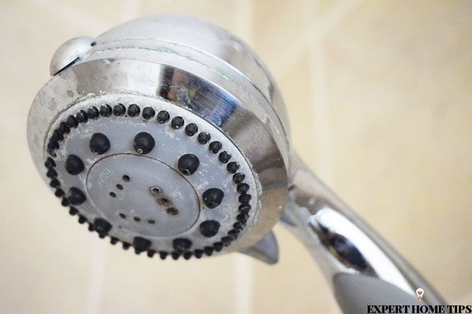 limescale showerhead