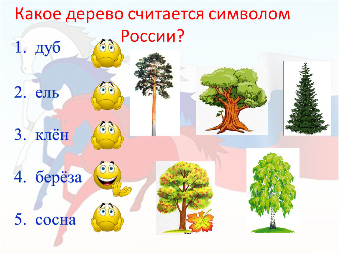 Какие деревья являются символом. Какое дерево. Какое дерево какое дерево. Считаем деревья. Какое дерево символизирует удачу.