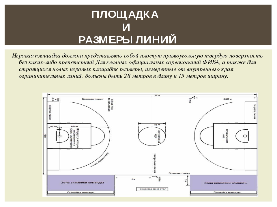 Разметка баскетбольной площадки фото