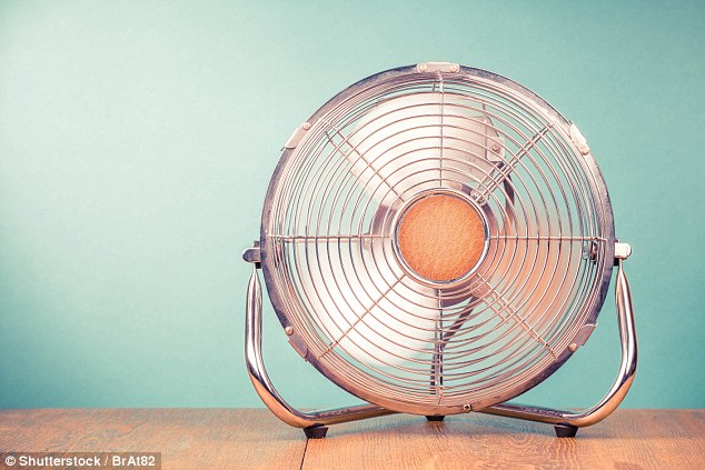 Hot air: Should I be worried about the amount of money my electric fan is costing?