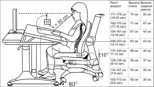 Стандартные нормативы высоты стула, выбор оптимальных параметров