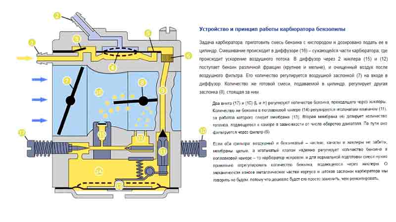 Устройство карбюратора бензопилы