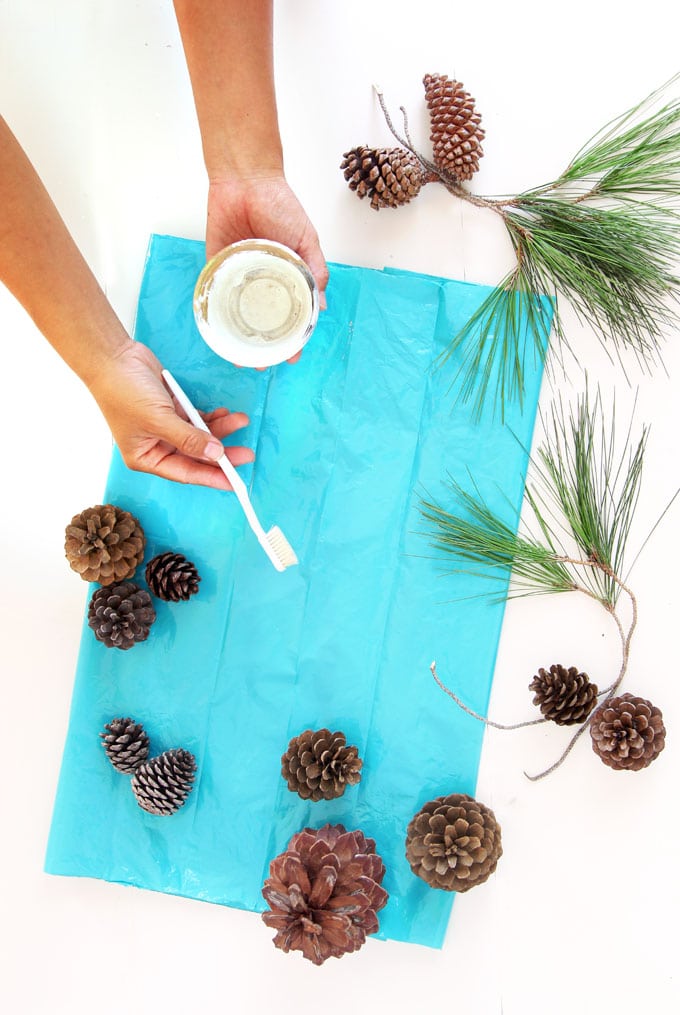 a handful of beautiful "bleached pinecones" in 5 minutes without using bleach