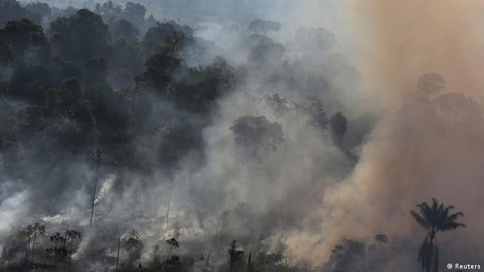 Bildergalerie Amazon Regenwald Rodung (Reuters)