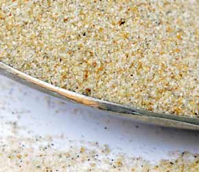 Beach sand grains.