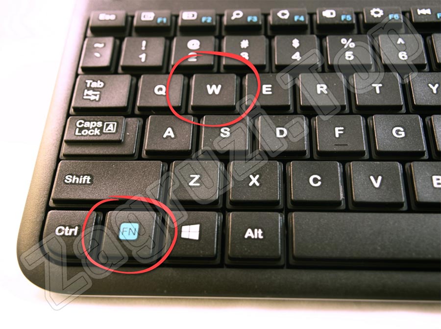 Что делать если поменялось управление. Кнопка FN на клавиатуре компьютера. Нет кнопки FN на клавиатуре. FN кнопка на клавиатуре. Клавиша FN на клавиатуре.