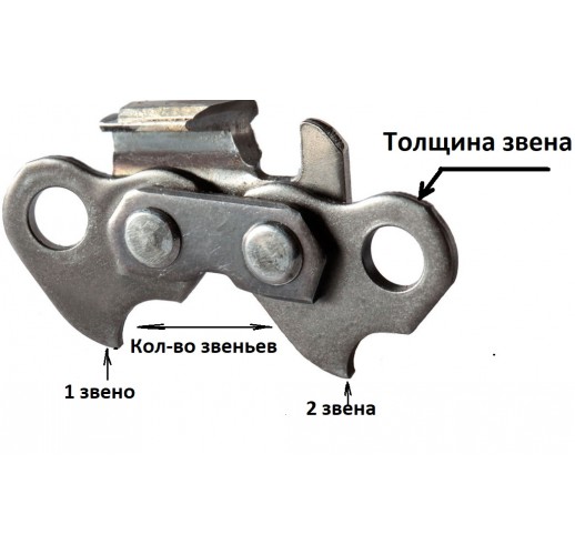 Чертеж головы человека бензопилы